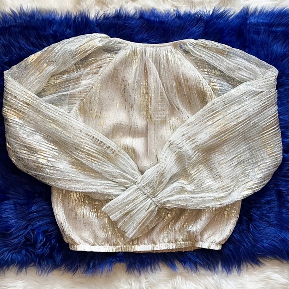 New! RAMY BROOK Metallic Tulle Balloon Sleeve Peasant Blouse - Picture 6 of 9